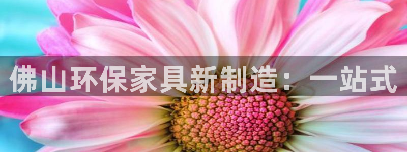 意昂5(KGAME)平台手机登录：佛山环保家具新制造：一站式