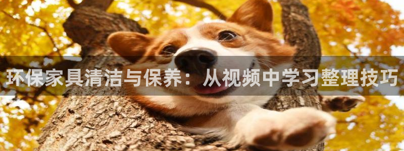 意昂5(KGAME)平台手机下载：环保家具清洁与保养：从视频