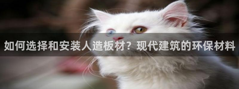 意昂5(KGAME)平台怎样