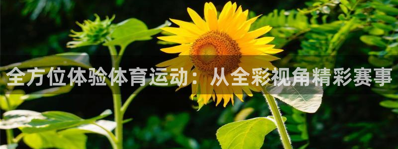 哈哈体育