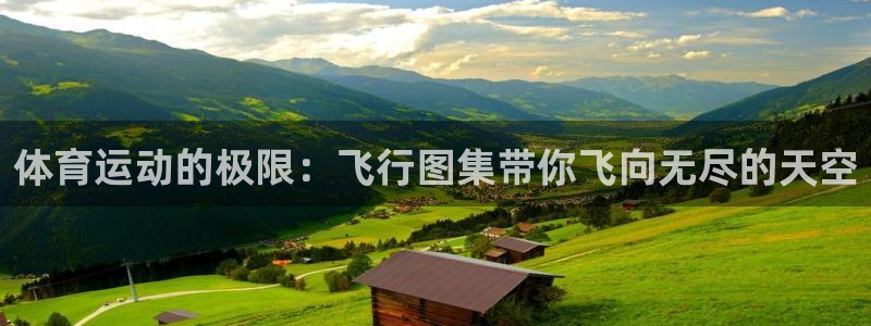 哈哈体育