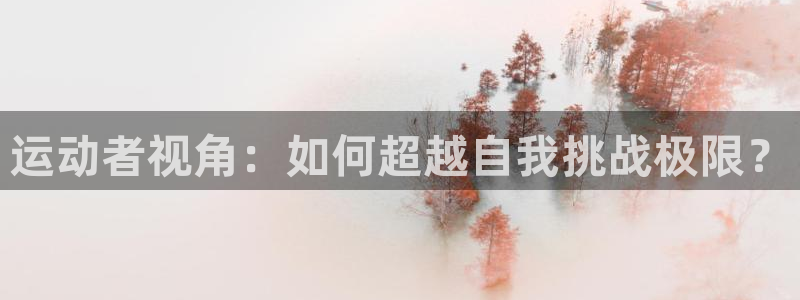 哈哈体育十年
