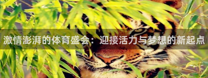 哈哈体育下载：激情澎湃的体育盛会：迎接活力与梦想的新起点