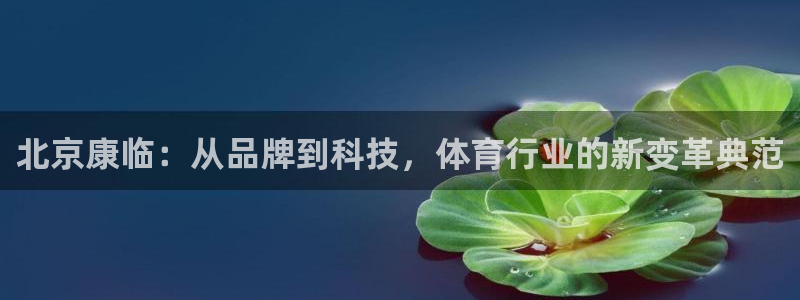 哈哈体育十年：北京康临：从品牌到科技，体育行业的新变革典范