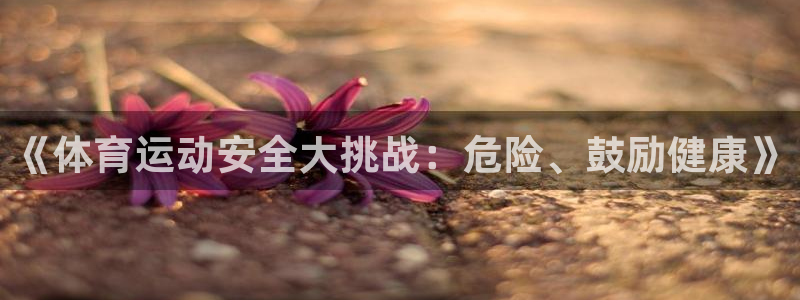 哈哈体育：《体育运动安全大挑战：危险、鼓励健康》