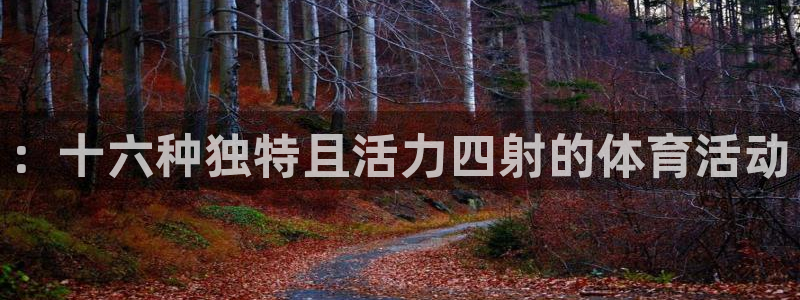哈哈体育：：十六种独特且活力四射的体育活动