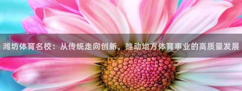哈哈体育十年：潍坊体育名校：从传统走向创新，推动地方体育事业的高质量发展