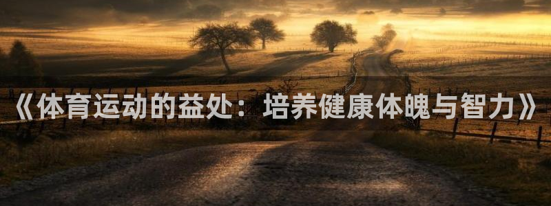 哈哈体育十年