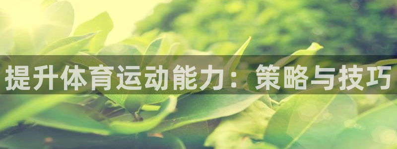 哈哈体育十年