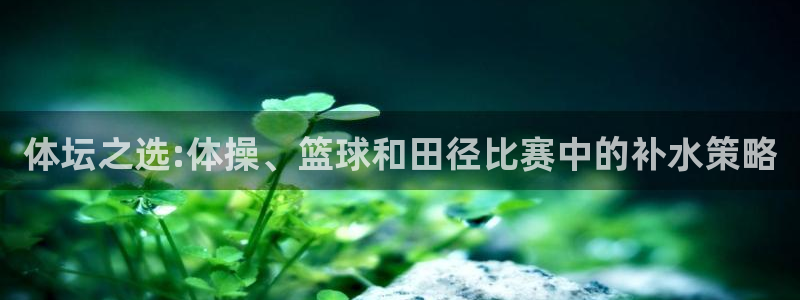 哈哈体育