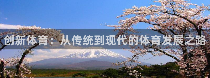 哈哈体育十年：创新体育：从传统到现代的体育发展之路