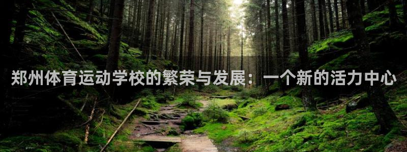 哈哈体育下载：郑州体育运动学校的繁荣与发展：一个新的活力中心