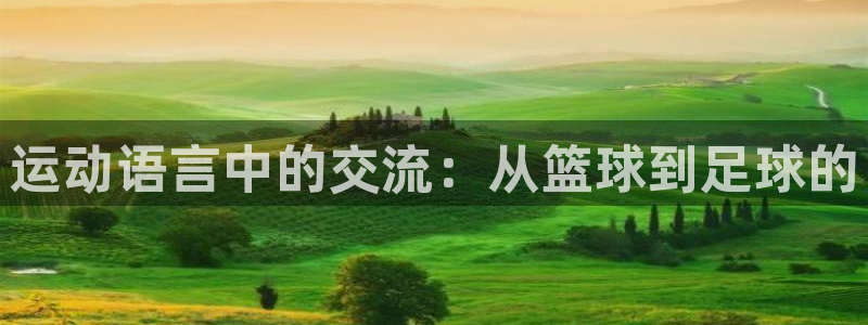 哈哈体育下载：运动语言中的交流：从篮球到足球的